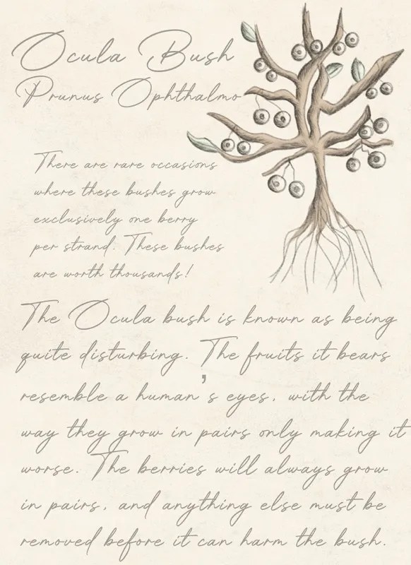 Fantastical Botany Book